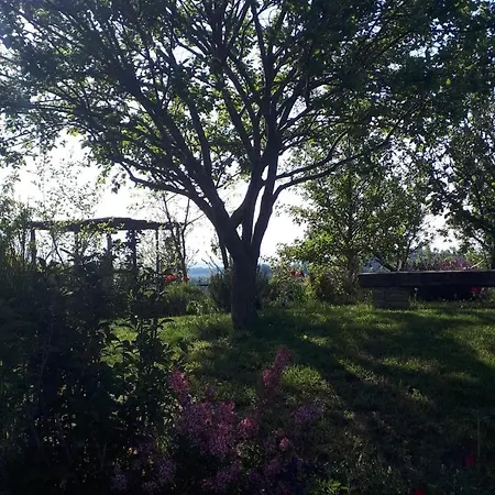 Gatti Di Langa Casa vacanze *