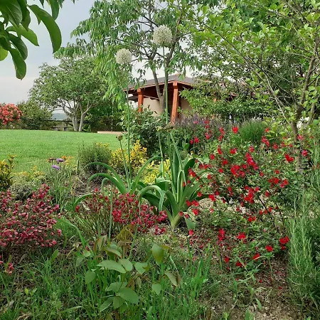 Casa vacanze Gatti Di Langa *