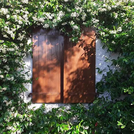 Gatti Di Langa Holiday home Dogliani