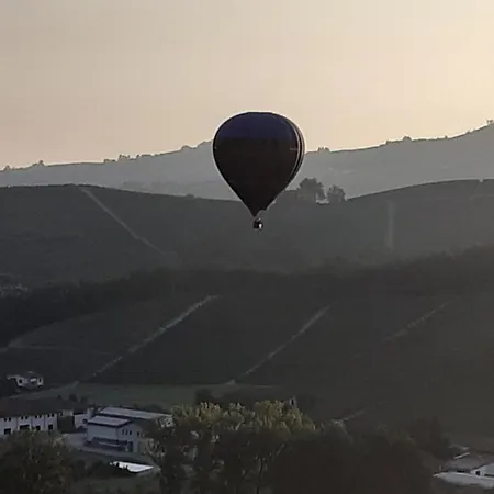 Gatti Di Langa Dogliani