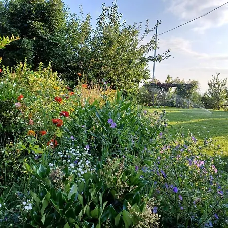 Gatti Di Langa * Dogliani