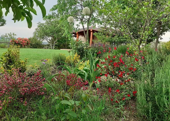 Дом отдыха Gatti Di Langa *