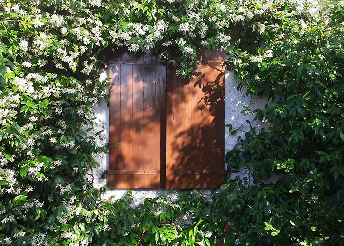 Gatti Di Langa Дом отдыха Дольяни