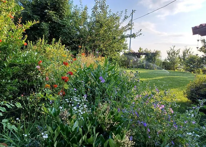 Gatti Di Langa * Дольяни